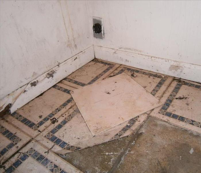 Water damaged Tile